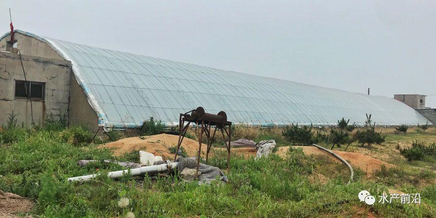 出蝦27斤/立方，連續(xù)三造成功后，工廠化養(yǎng)蝦在他看來并不難！